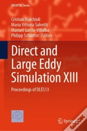 Capa do artigo Direct And Large Eddy Simulation Xiii