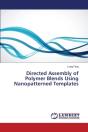 Directed Assembly Of Polymer Blends Using Nanopatterned Templates - Preview