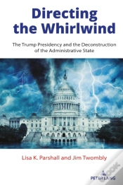 Capa do artigo Directing The Whirlwind