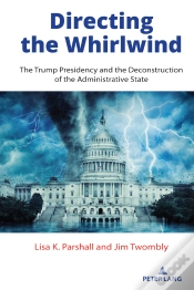 Capa do artigo Directing The Whirlwind