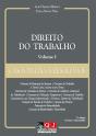 Direito do Trabalho - Volume I - Preview