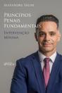 Direito Penal - 1.⁠ ⁠Princípios Penais Fundamentais - Intervenção Mínima - Preview