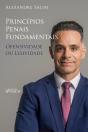 Direito Penal - 1.⁠ ⁠Princípios Penais Fundamentais - Ofensividade Ou Lesividade - Preview