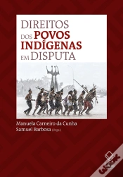 Capa do artigo Direitos Dos Povos Indígenas Em Disputa No Stf