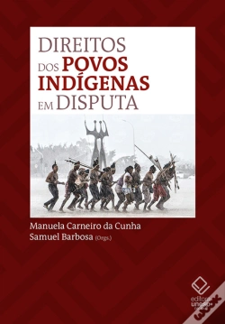 Capa do artigo Direitos Dos Povos Indígenas Em Disputa No Stf