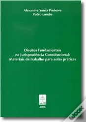 Capa do artigo Direitos Fundamentais na Jurisprudência Constitucional