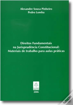 Capa do artigo Direitos Fundamentais na Jurisprudência Constitucional