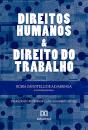Direitos Humanos E Direito Do Trabalho - Preview