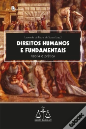 Capa do artigo Direitos Humanos E Fundamentais