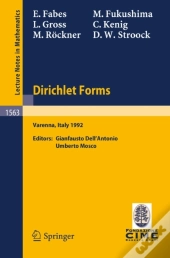 Dirichlet Forms