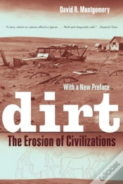 Capa do artigo Dirt