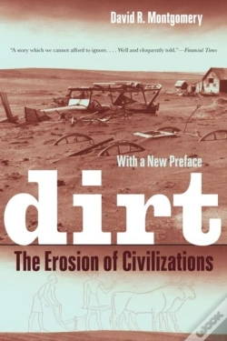 Capa do artigo Dirt