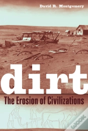 Capa do artigo Dirt