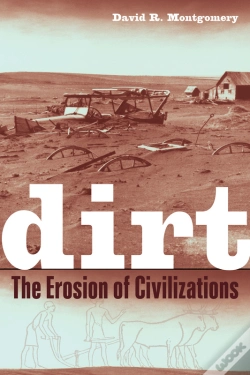 Capa do artigo Dirt