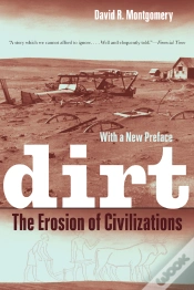 Capa do artigo Dirt
