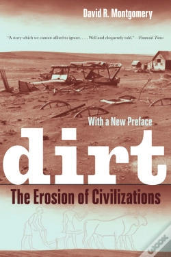 Capa do artigo Dirt