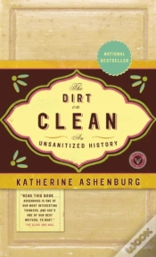 Capa do artigo Dirt On Clean