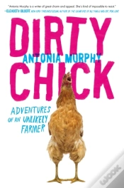 Capa do artigo Dirty Chick