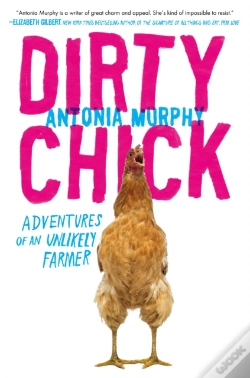 Capa do artigo Dirty Chick