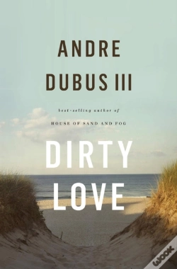 Capa do artigo Dirty Love
