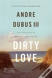 Capa do artigo Dirty Love
