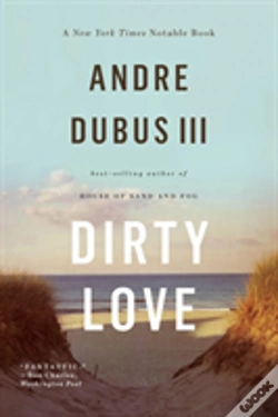 Capa do artigo Dirty Love