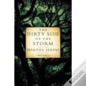 Capa do artigo Dirty Side Of The Storm