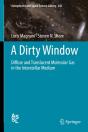 Dirty Window - Preview