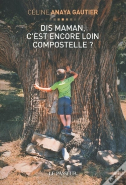 Capa do artigo Dis Maman, C'Est Encore Loin Compostelle