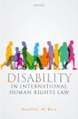Disability In International Human Rights Law - Preview