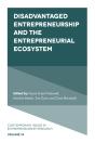 Disadvantaged Entrepreneurship And The Entrepreneurial Ecosystem - Preview