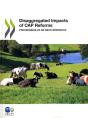 Disaggregated Impacts Of Cap Reforms - Preview