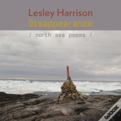 Capa do artigo Disappearance