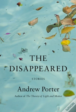 Capa do artigo Disappeared