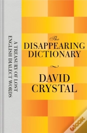 Capa do artigo Disappearing Dictionary