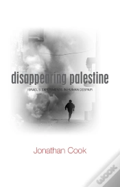 Capa do artigo Disappearing Palestine