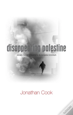 Capa do artigo Disappearing Palestine