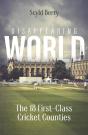 Disappearing World - Preview