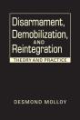 Disarmament, Demobilization, And Reintegration - Preview