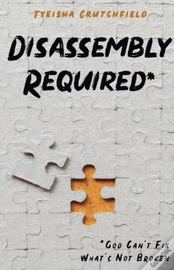 Capa do artigo Disassembly Required