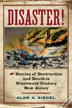 Capa do artigo Disaster!