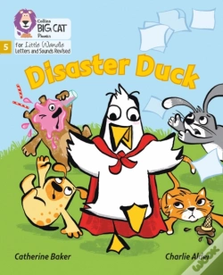 Capa do artigo Disaster Duck