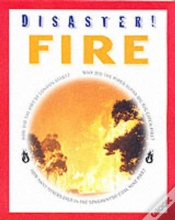 Capa do artigo Disaster Fire