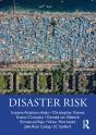 Disaster Risk - Preview