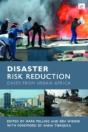 Disaster Risk Reduction - Preview