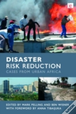 Capa do artigo Disaster Risk Reduction
