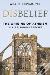Capa do artigo Disbelief