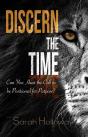 Discern The Time - Preview
