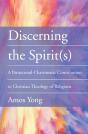Discerning The Spirit(S) - Preview