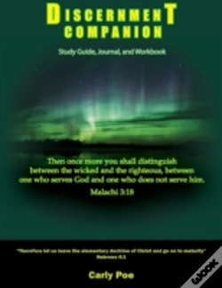Capa do artigo Discernment Companion
